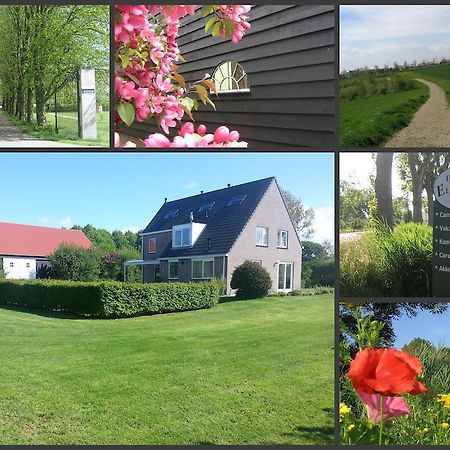 Hofstede Elzenoord Villa Vrouwenpolder Exteriör bild